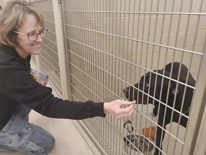 New dog warden at county pound plans outreach